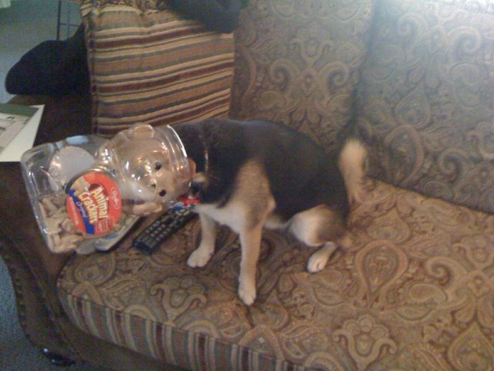 pelanggar aturan yang tertangkap basah